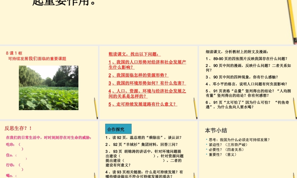 九年级政治(可持续发展战略)课件  课件