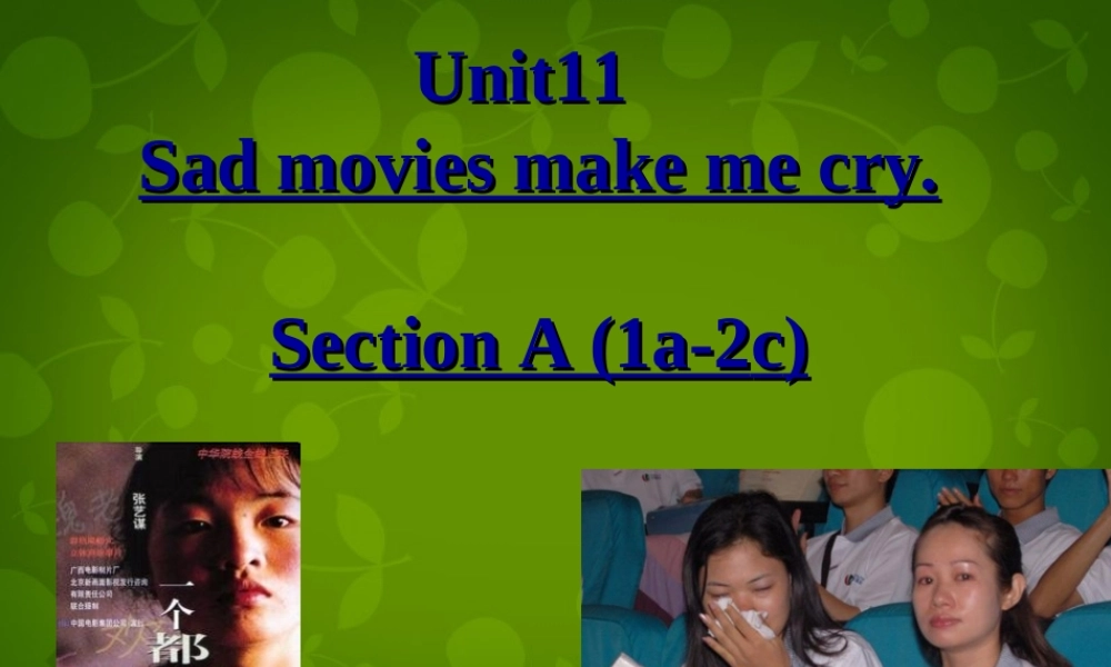 九年级英语全册 Unit 11 Sad movies make me cry Section A(1a 2c)课件 (新版)人教新目标版 课件