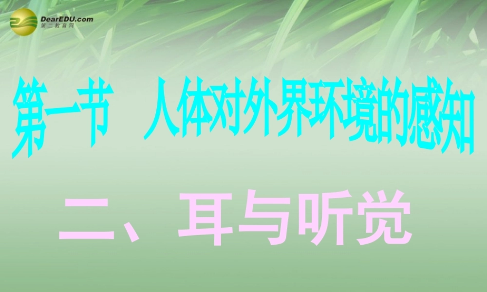 八年级生物下册 第六章 耳与听觉配套课件 鲁科版 课件