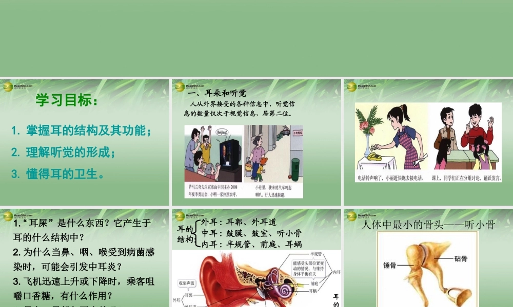 八年级生物下册 第六章 耳与听觉配套课件 鲁科版 课件