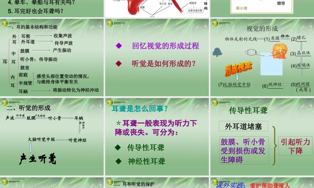 八年级生物下册 第六章 耳与听觉配套课件 鲁科版 课件