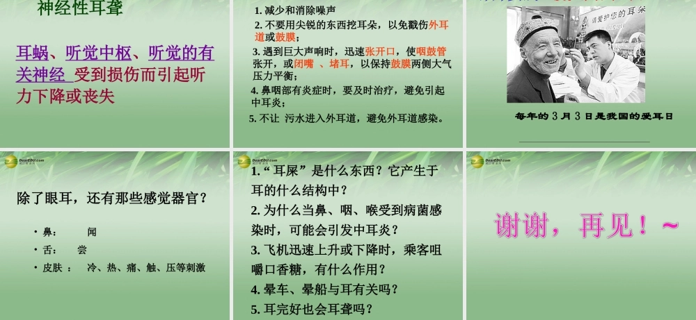 八年级生物下册 第六章 耳与听觉配套课件 鲁科版 课件