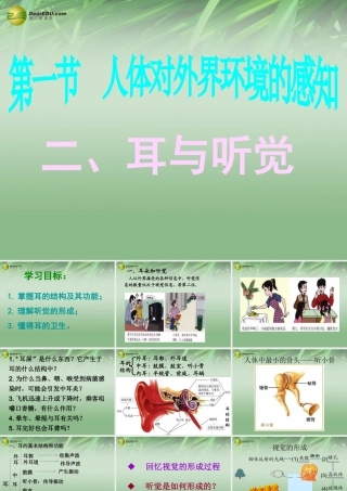 八年级生物下册 第六章 耳与听觉配套课件 鲁科版 课件