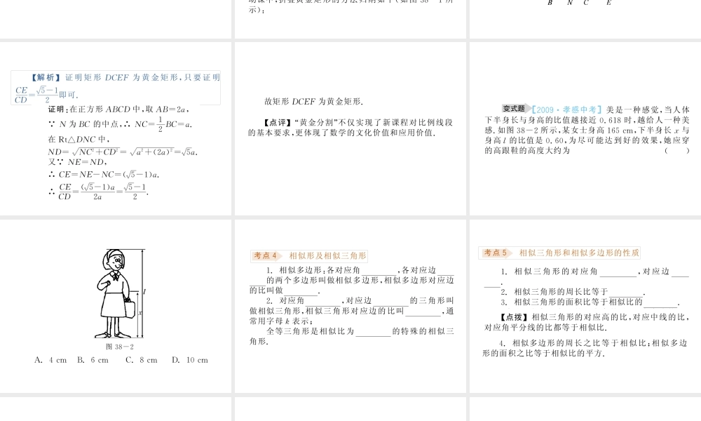 九年级数学(第29讲 相似图形)课件