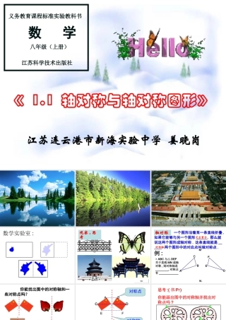 八年级数学 轴对称与轴对称图形课件