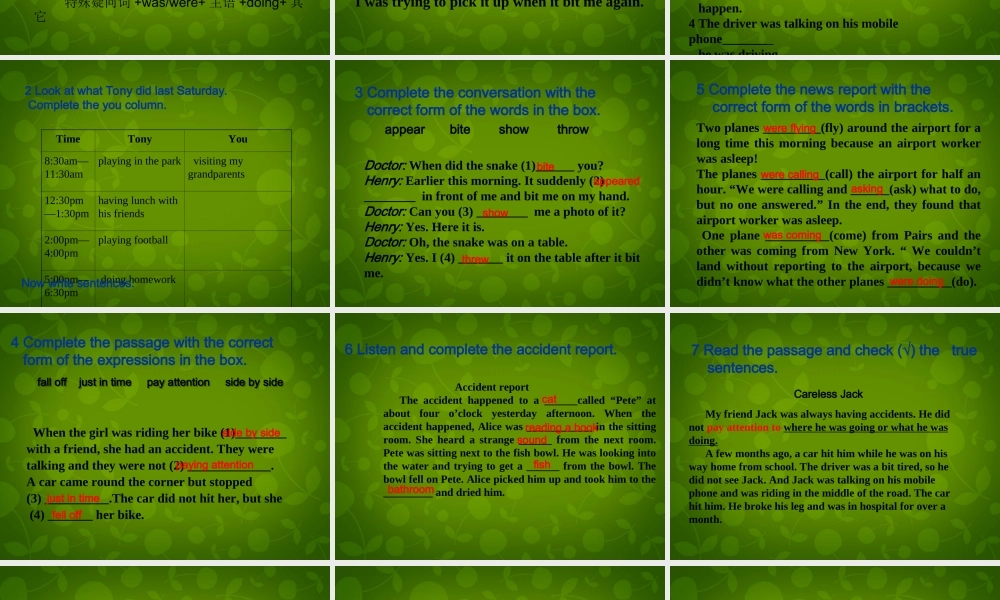 八年级英语上册 Module 8 Unit 3 Language in use课件 (新版)外研版 课件