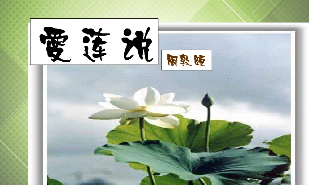 七年级语文下册(第五单元 专题 爱莲说)课件1 (新版)苏教版 课件