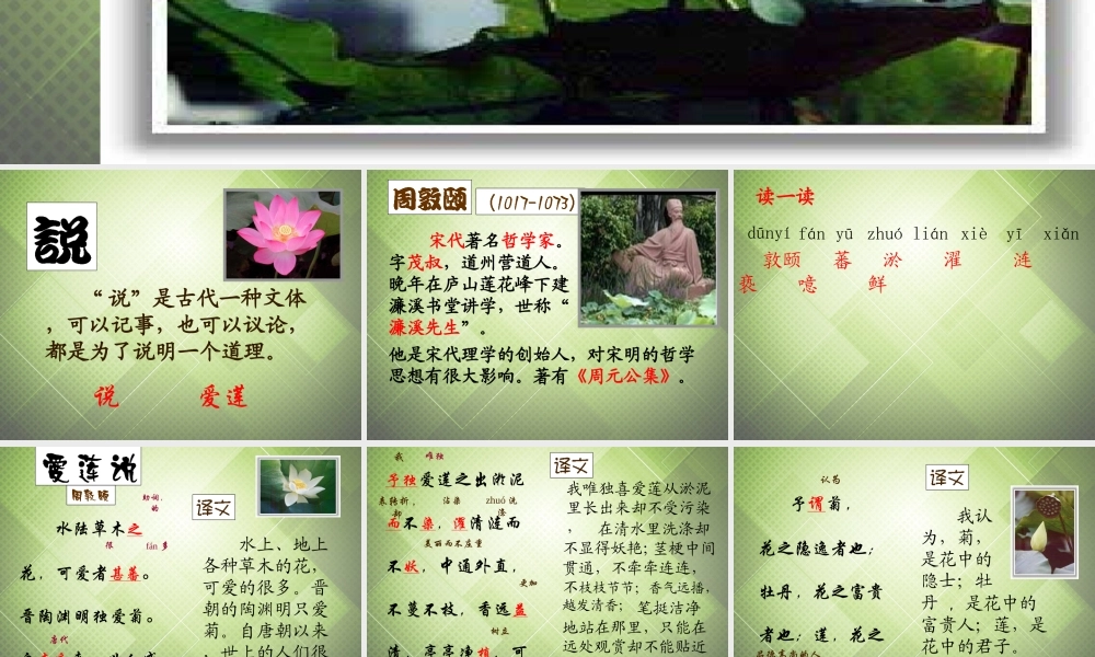 七年级语文下册(第五单元 专题 爱莲说)课件1 (新版)苏教版 课件