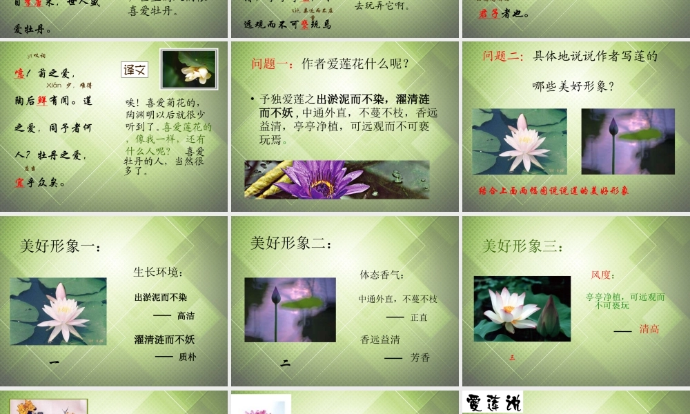七年级语文下册(第五单元 专题 爱莲说)课件1 (新版)苏教版 课件