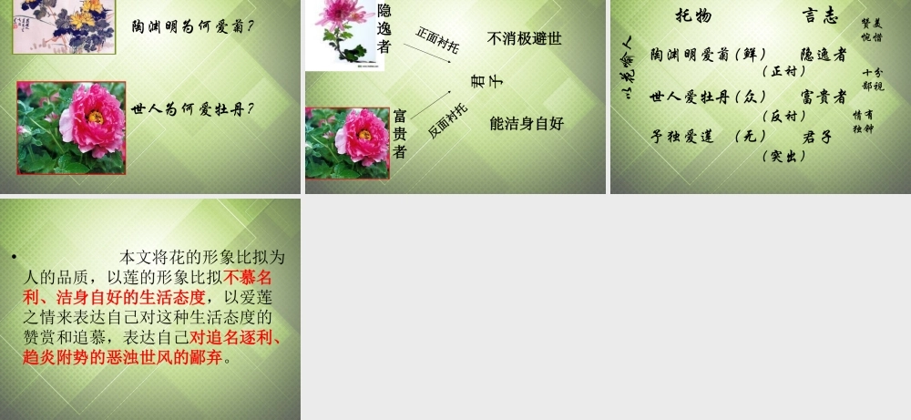 七年级语文下册(第五单元 专题 爱莲说)课件1 (新版)苏教版 课件