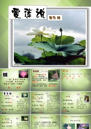 七年级语文下册(第五单元 专题 爱莲说)课件1 (新版)苏教版 课件