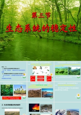 九年级科学下册(生态系统的稳定性)课件 浙教版 课件