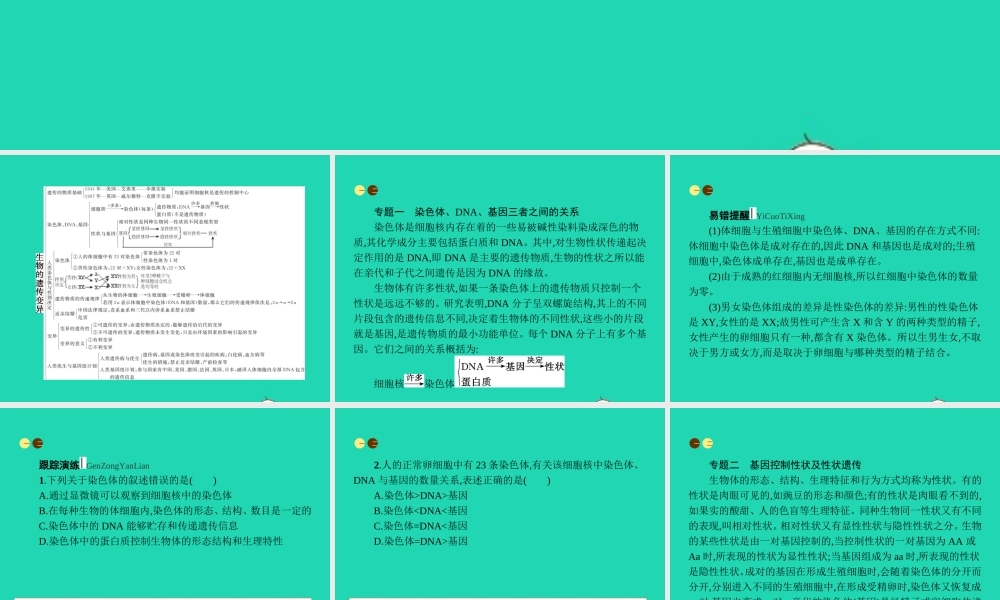 八年级生物上册 第四单元 第四章 生物的遗传与变异本章整合课件 (新版)济南版 课件