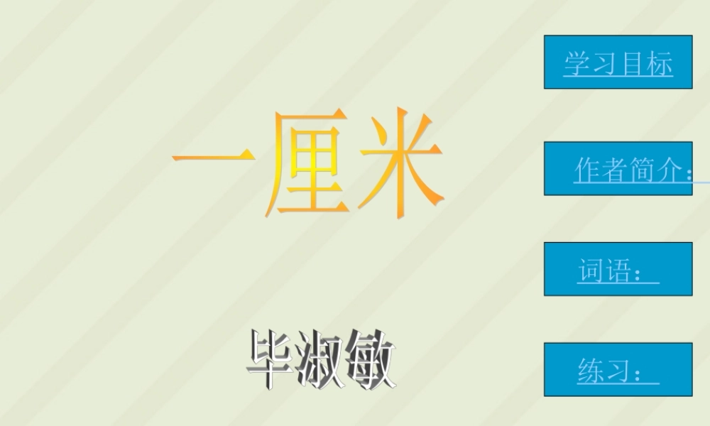 九年级语文课件示例三 语文版 课件