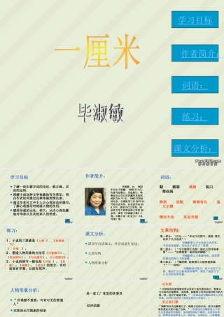 九年级语文课件示例三 语文版 课件