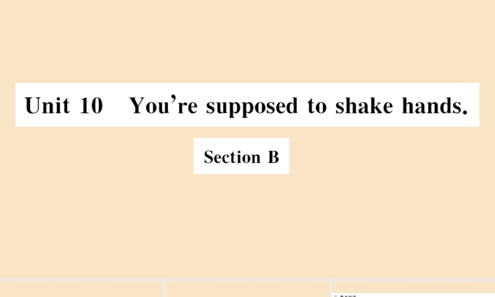 九年级英语全册 Unit 10 You re supposed to shake hands Section B(小册子)作业课件 (新版)人教新目标版 课件
