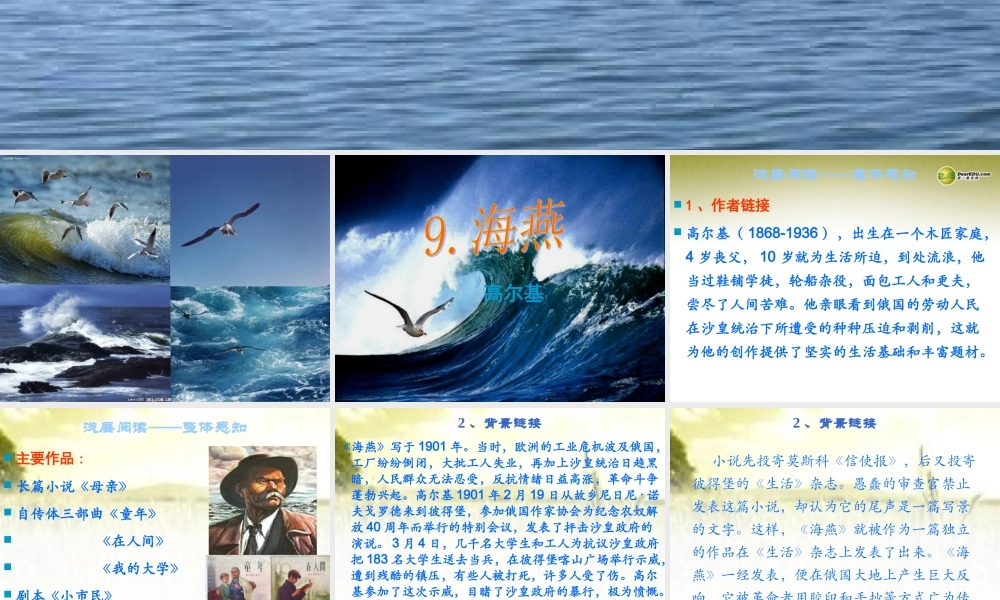 八年级语文下册 9.海燕(浅层阅读+深层阅读+语文积累)课件 新人教版 课件