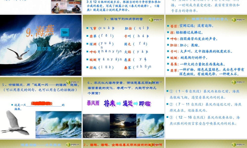 八年级语文下册 9.海燕(浅层阅读+深层阅读+语文积累)课件 新人教版 课件