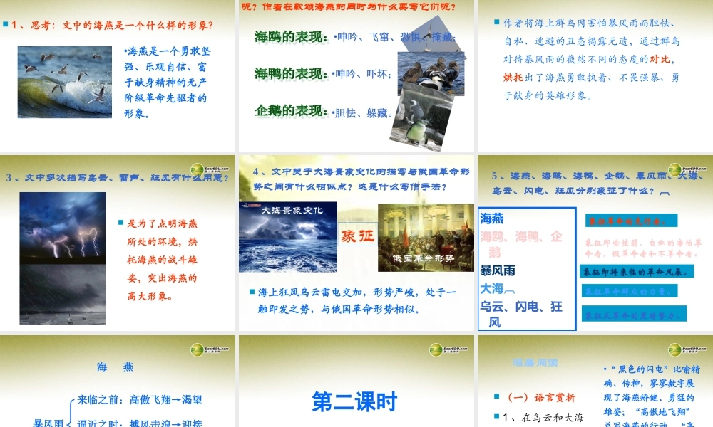 八年级语文下册 9.海燕(浅层阅读+深层阅读+语文积累)课件 新人教版 课件