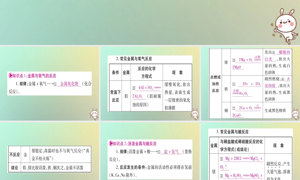 中考化学准点备考复习 第一部分 教材系统复习 第8讲 金属和金属材料 第2课时 金属的化学性质课件 新人教版 课件