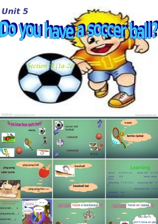 七年级英语上册 Unit 5 Do you have a soccer ball Section A(1a 2c)课件 (新版)人教新目标版 课件
