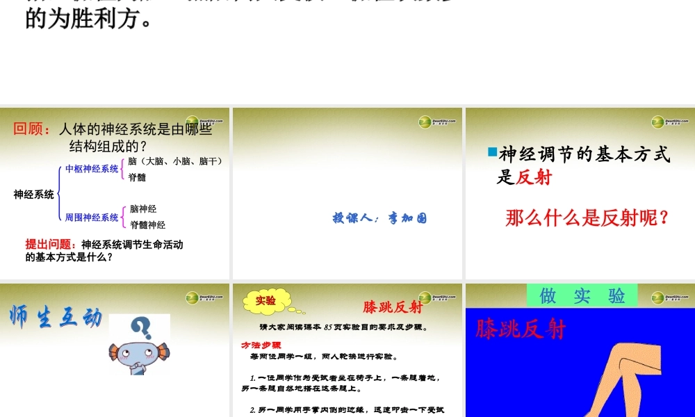八年级生物下册 第六章 神经调节的基本方式好配套课件 鲁科版 课件