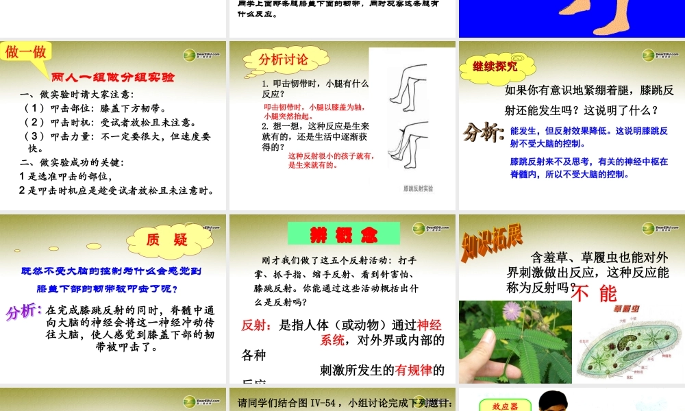 八年级生物下册 第六章 神经调节的基本方式好配套课件 鲁科版 课件