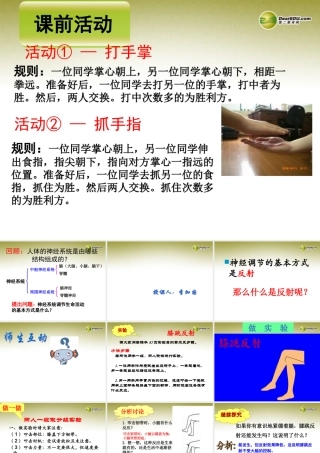 八年级生物下册 第六章 神经调节的基本方式好配套课件 鲁科版 课件