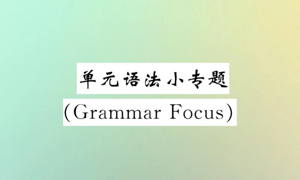 九年级英语全册 Unit 7 Teenagers should be allowed to choose their own clothes单元语法小专题(Grammar Focus)课件 (新版)人教新目标版 课件