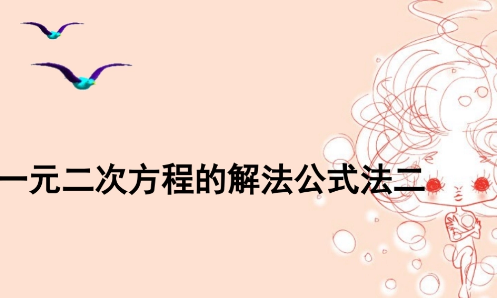 九年级数学一元二次方程的解法-公式法二 新课标 人教版 课件