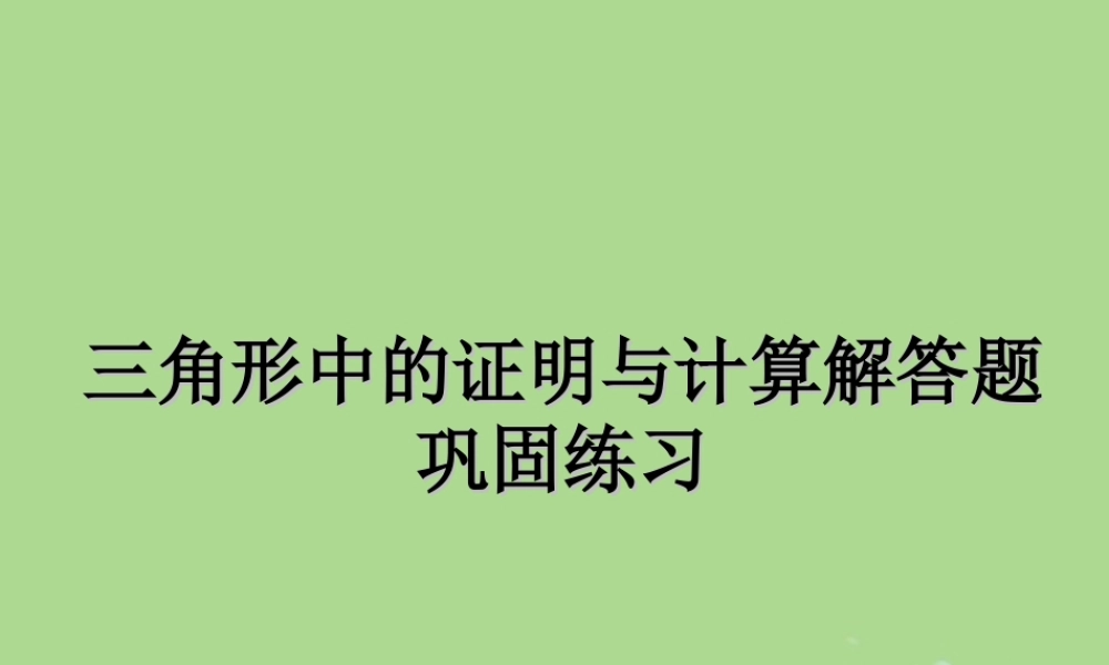 中考数学复习 专题 三角形中的证明与计算解答题巩固练习课件