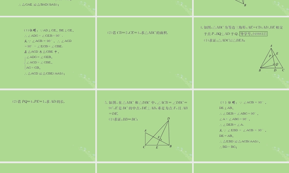 中考数学复习 专题 三角形中的证明与计算解答题巩固练习课件
