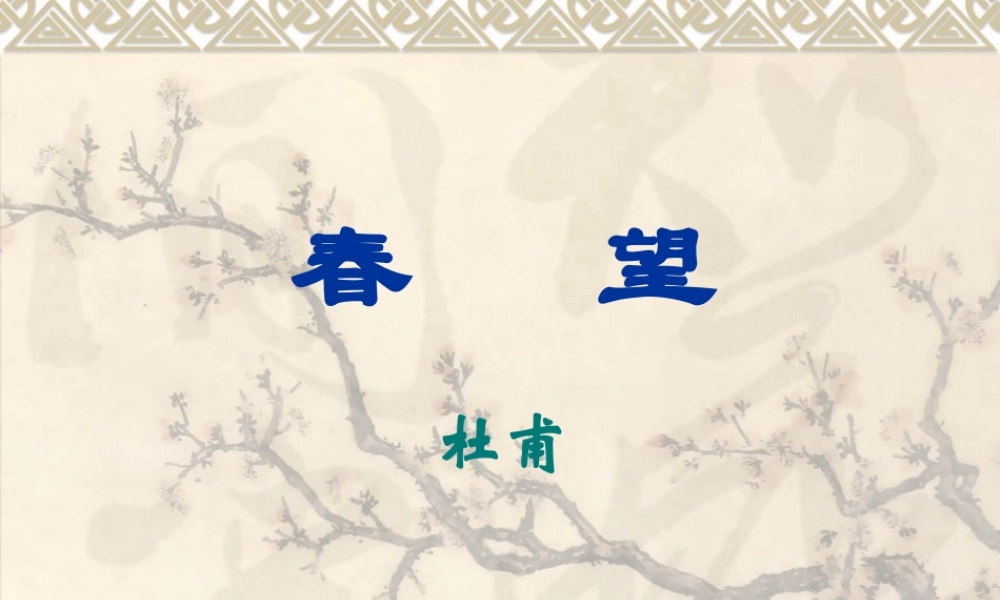 八年级语文春望课件2苏教版 课件