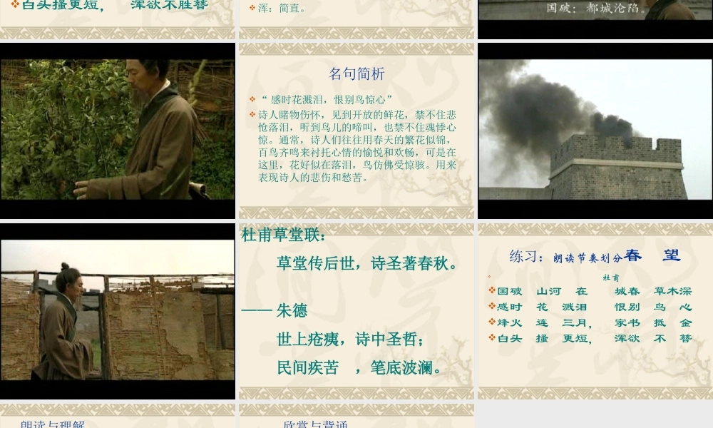八年级语文春望课件2苏教版 课件