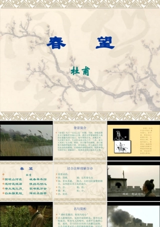 八年级语文春望课件2苏教版 课件