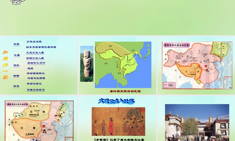 中学七年级历史下册 第5课 和同为一家课件 新人教版 课件