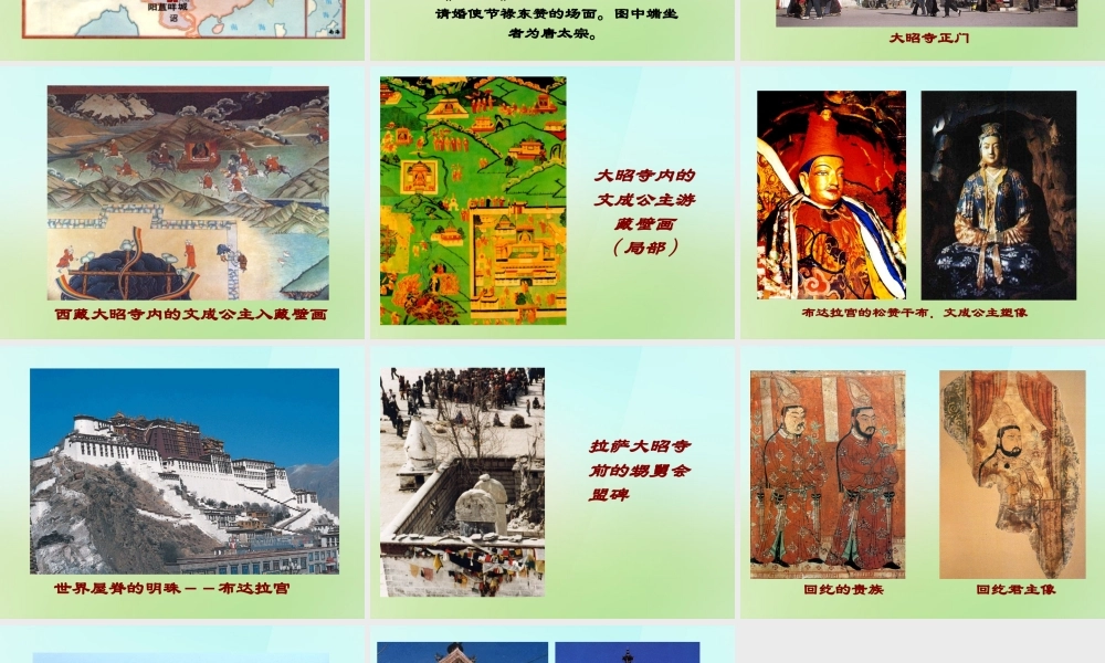 中学七年级历史下册 第5课 和同为一家课件 新人教版 课件