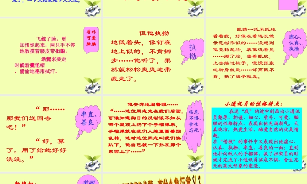 八年级语文下册 (百合花)教学课件 河大版 课件