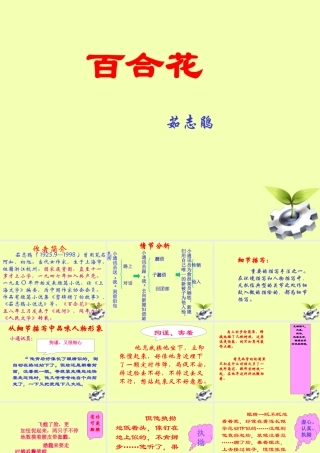 八年级语文下册 (百合花)教学课件 河大版 课件