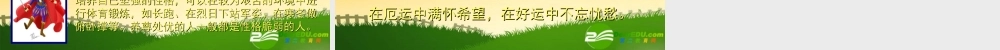 七年级语文上册 8、人生寓言课件 人教新课标版 课件