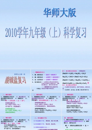 九年级科学上册 复习课件 华东师大版 课件