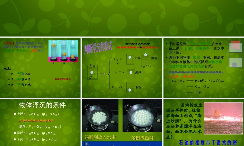 八年级物理下册 10.3 物体的浮沉条件课件 (新版)新人教版 课件