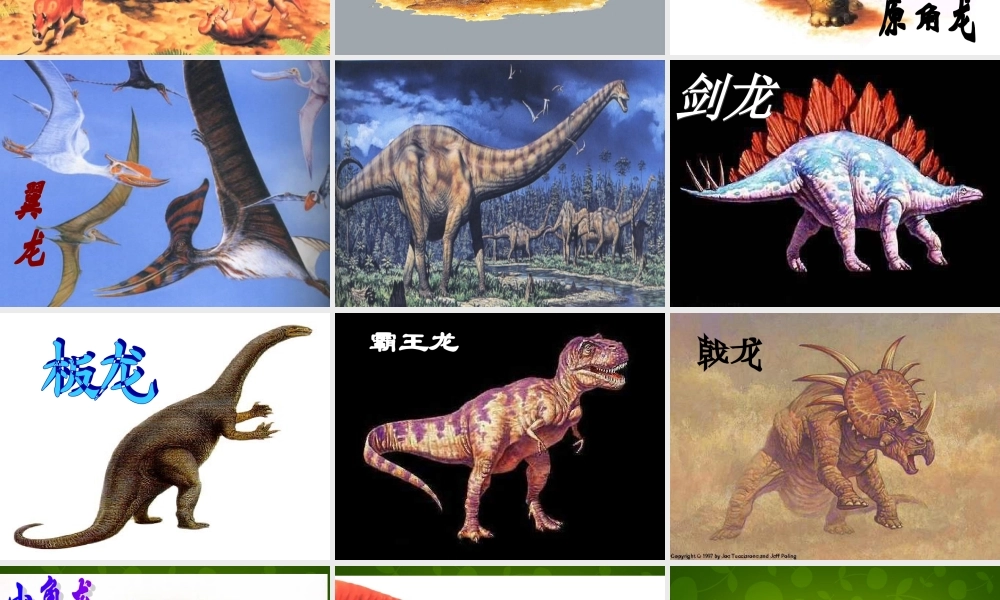 八年级语文上册 第四单元 18 阿西莫夫短文两篇课件 新人教版 课件