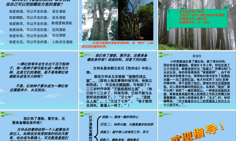 八年级政治下册 打开自己的宝藏课件 人民版 课件