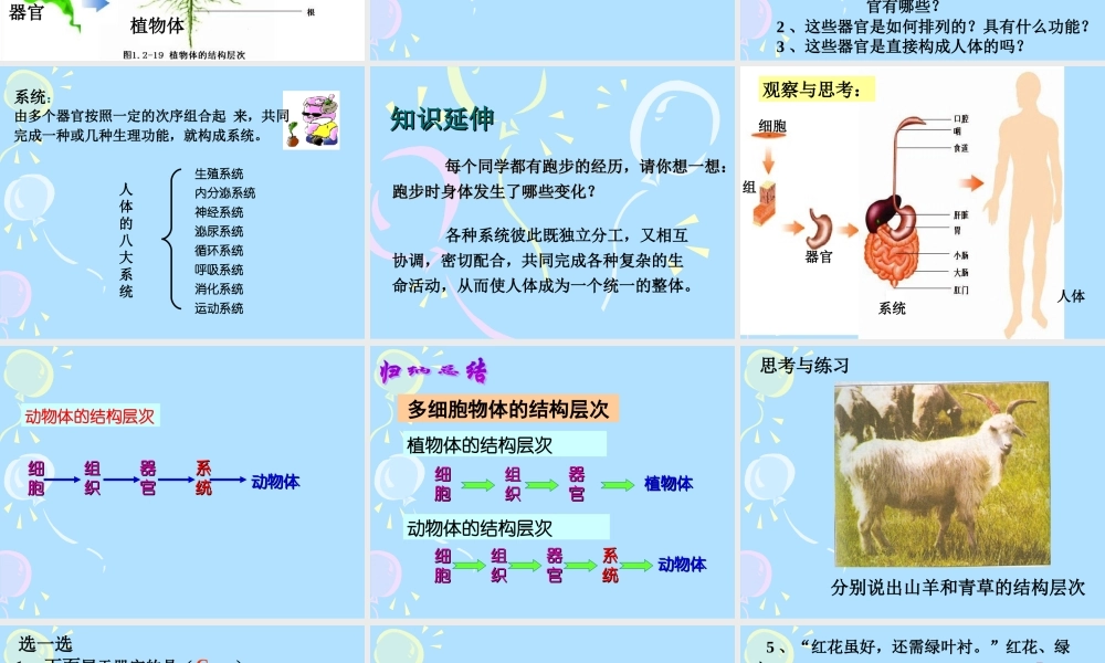 七年级生物上：第一单元第二章第四节 多细胞生物体的结构层次课件(济南版) 课件