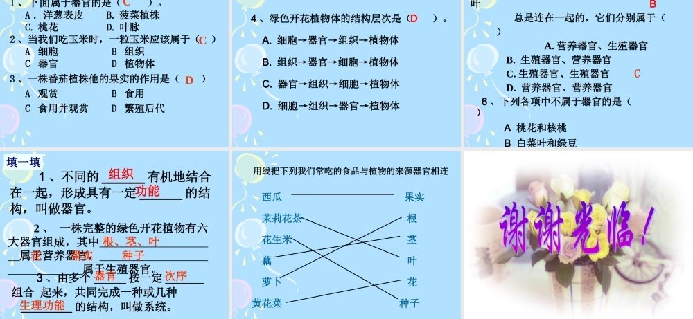 七年级生物上：第一单元第二章第四节 多细胞生物体的结构层次课件(济南版) 课件