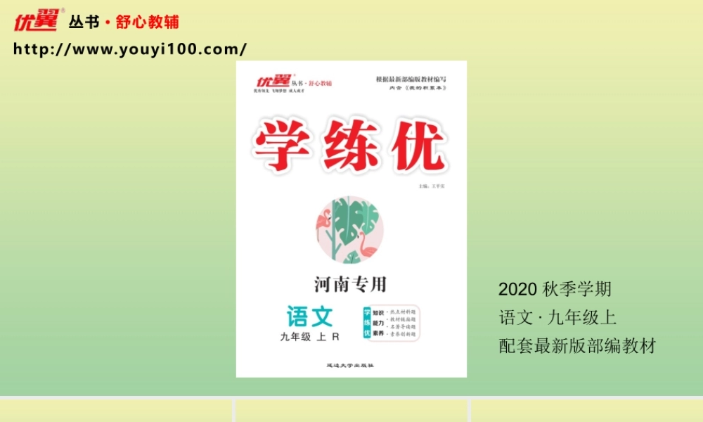 九年级语文上册 专题二 字形作业课件 新人教版 课件