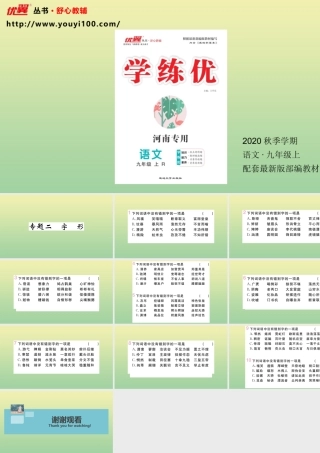 九年级语文上册 专题二 字形作业课件 新人教版 课件