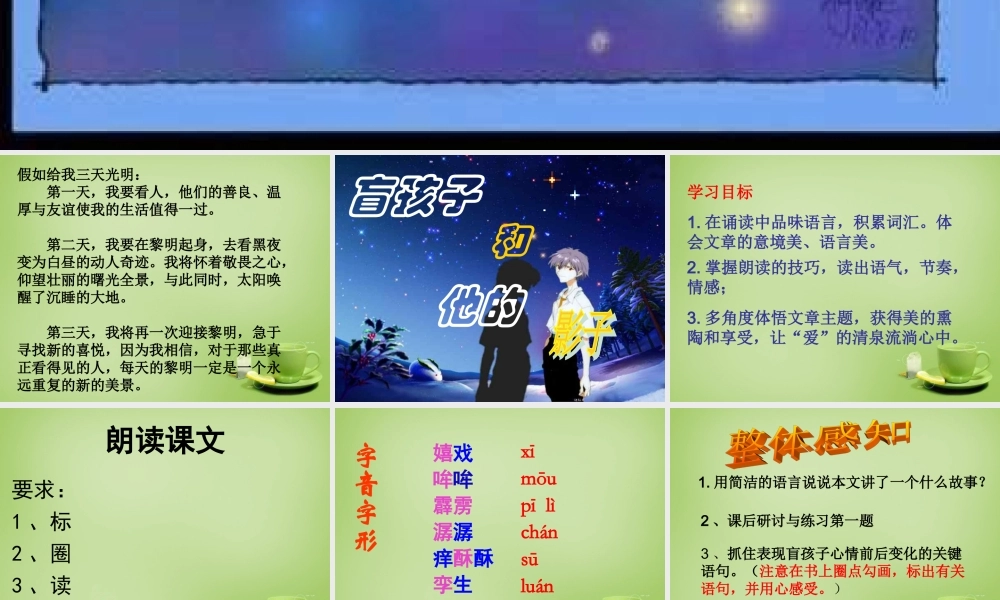 中学七年级语文上册 6.29(盲孩子和他的影子)课件 (新版)新人教版 课件