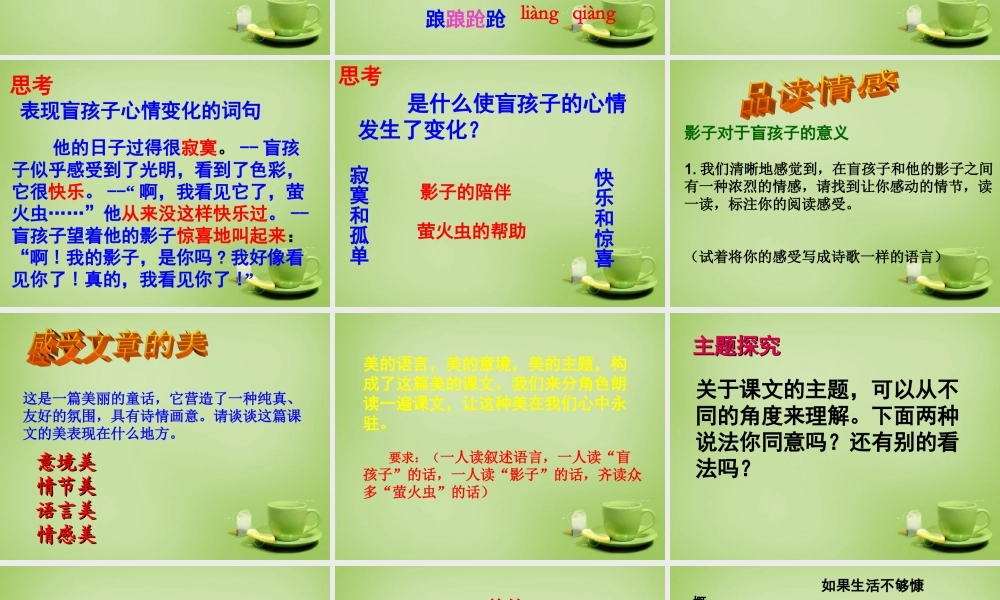 中学七年级语文上册 6.29(盲孩子和他的影子)课件 (新版)新人教版 课件